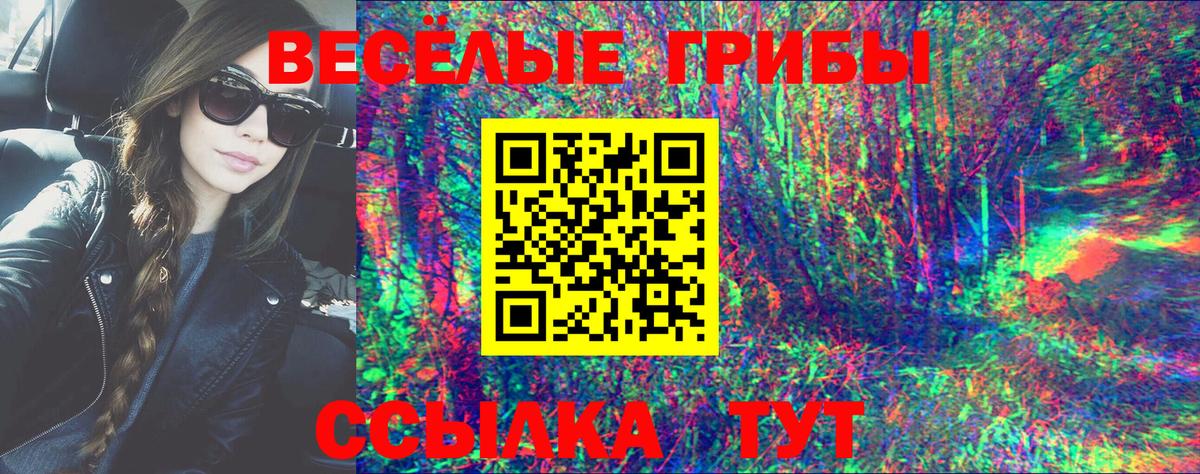 Галлюциногенные грибы GOLDEN TEACHER  Вход с VPN  где можно купить наркотик  Псилоцибиновые грибы MAGIC MUSHROOMS  Соликамск 